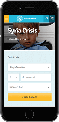 Donations website mobile example view