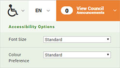 Accessibility website option screenshot