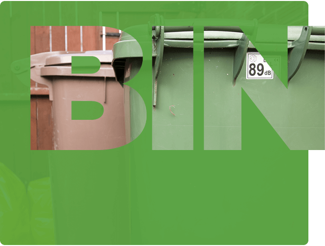 Local Government bin collection screengrab