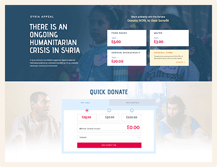 Donations website screenshot example 4