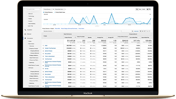 Analytics example screenshot for Ecommerce