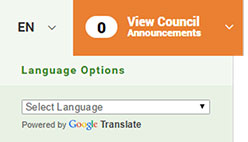 Language selection website option screenshot